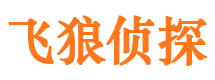 庐江外遇调查取证